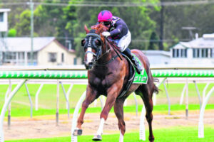 Young Olivia inspires Paul’s comeback