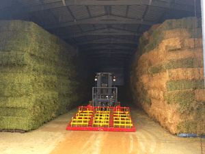 Biosecurity bureaucracy crippling Lockyer growers