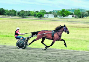 Border Trots – 8th February