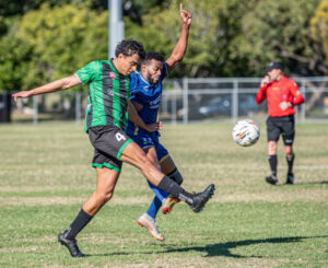 Top Ipswich Knights teams share new purpose