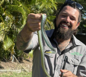 Snake season slithers into Ipswich backyards
