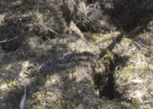 Sink holes appearing in development site