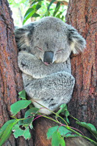 What’s On In Ipswich 26th July, 2023