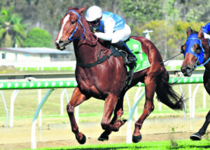 Ross tunes up for partnership with Andrew