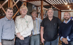 Merry Christmas from the Tribune team