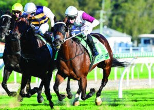 Mark just gets on doing what he loves