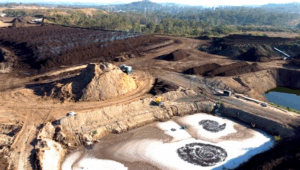 Antoniolli to insist on dumps health inquiry