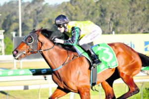 Bargain buy aiming to be country cups king