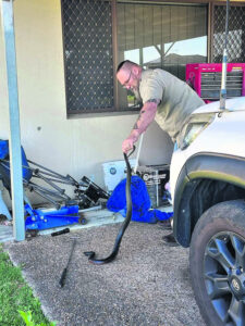 Watch out snakes about