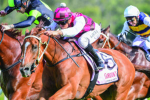 Horses and people make life ideal for Diane