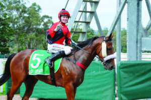 A hell of a ride from chippie to jockey