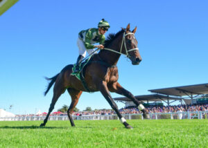 Tregea’s wild and emotional ride to the Melbourne Cup