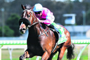 Hubbard profits from Irish stroke of luck