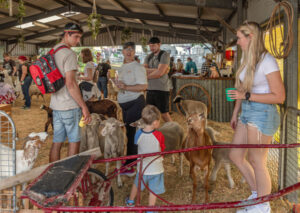 In pictures: high-flying fun at 152nd Show