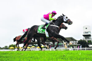 The Tofts help fire Colleen’s horse journey