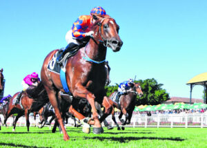 Ipswich’s wonder horse Johnny rocks racing’s elite
