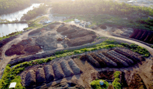 State regulator accused of apathy