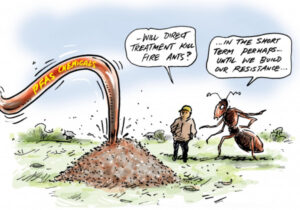 Ants boss reckons Tribune claims ‘false, baseless’