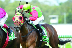 Training is a family affair for Tony