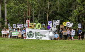 Letter to the Editor: save Woogaroo