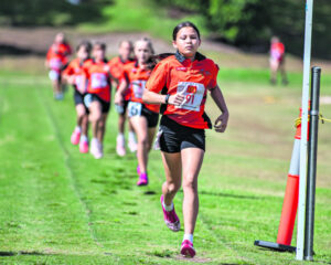Ipswich’s top young athletes deliver fine efforts