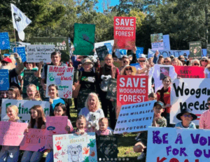 Lawyers see errors in Stockland Precinct Plan