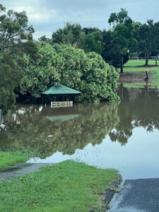 Council united on MiHI units buyback