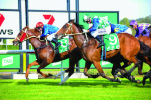 The simple life works for Beaudesert mare