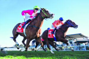 Horses are a passion for the travelling Hiltons