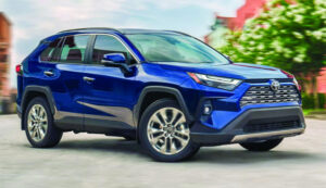 Market to dive after bumper sales year