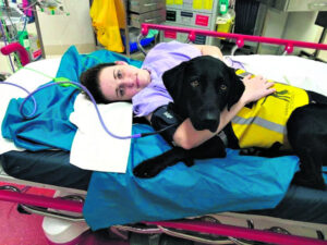 Lifesaver Baloo in running for top award