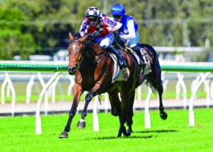 Craig has a small stable but a big reputation