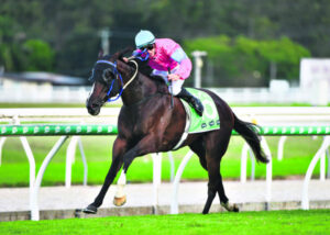 ‘Father’ John loves helping Ipswich racing family