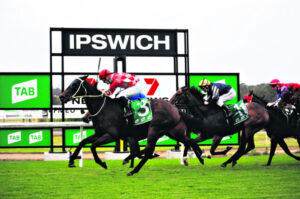 Veteran defies the odds for one-horse trainer