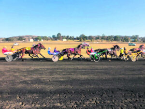 Border Trots January 2023