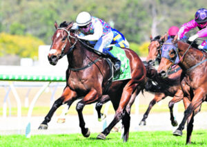 Hannah gets her first win as Ipswich trainer