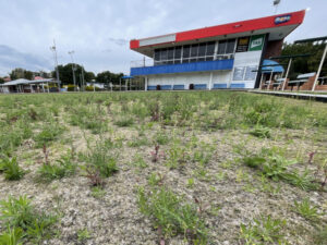 Community wary of Swifts plans