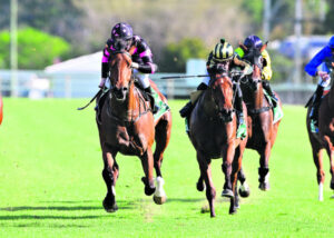 Peter’s grateful for loving what he does