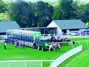 The tale of the cattle-breeding horse trainer