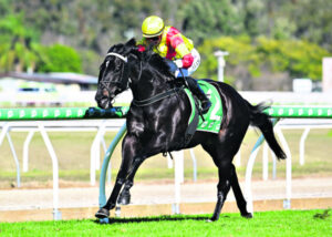 Racing connection prospers for long-lasting mates