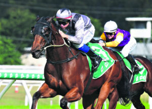 Horse connection the heart of Ryan’s passion