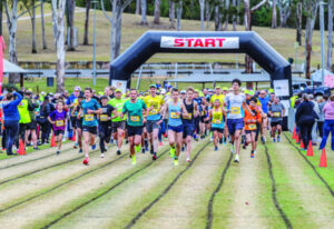 How did Park2Park go from popular to cancelled?