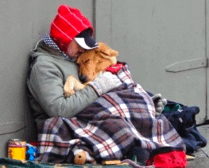 No plan to copy brutal homeless decrees