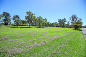 Ex MP: Build cheap homes on empty government plots