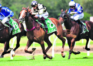 Helen loves her life filled with horses