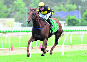 Hamblin keeps doing what he loves best