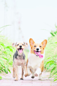 What’s On In Ipswich 3rd May