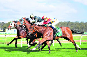 Favourite fails but trainer confident of winter riches