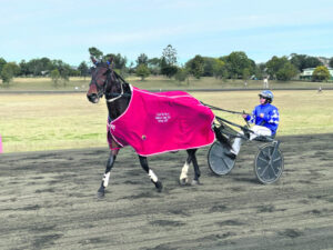 Border Trots 12th July 2023