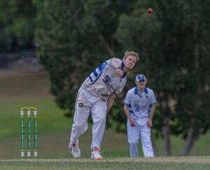 Cricket’s back: Brothers stun premiers, Blue Dogs and Tigers fire